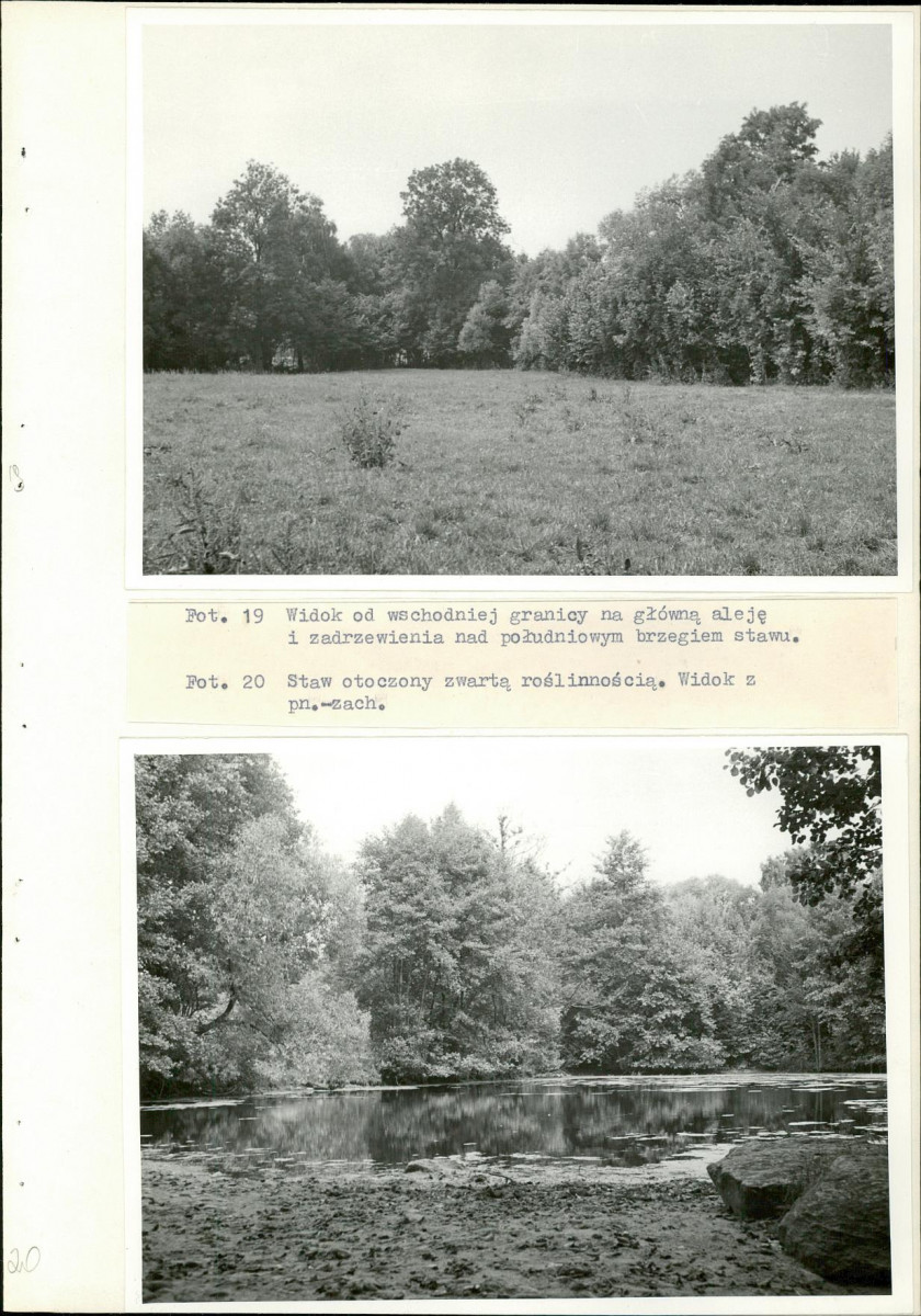 Ewidencja parkowa, skan nr 36