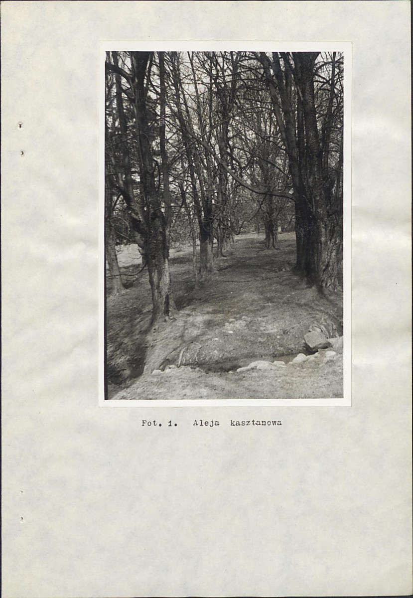 Ewidencja parkowa, skan nr 20