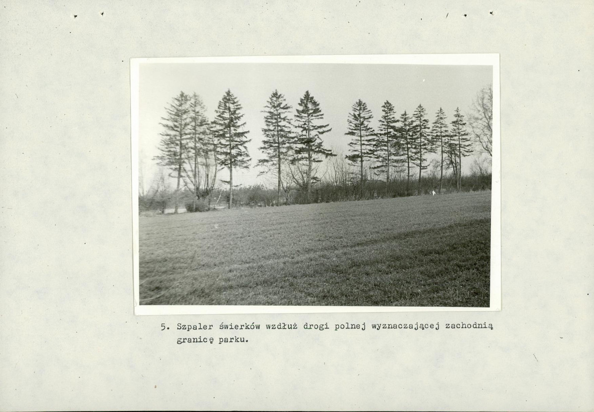 Ewidencja parkowa, skan nr 25
