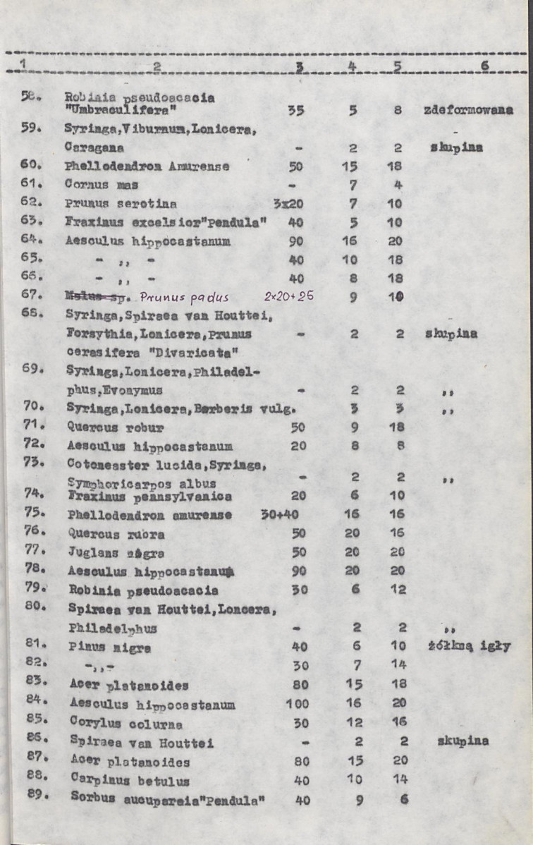 Ewidencja parkowa, skan nr 27