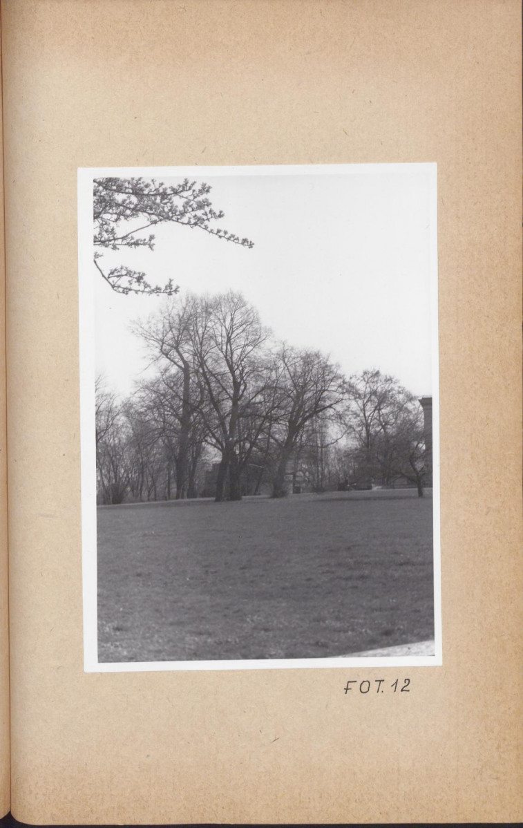 Ewidencja parkowa, skan nr 49