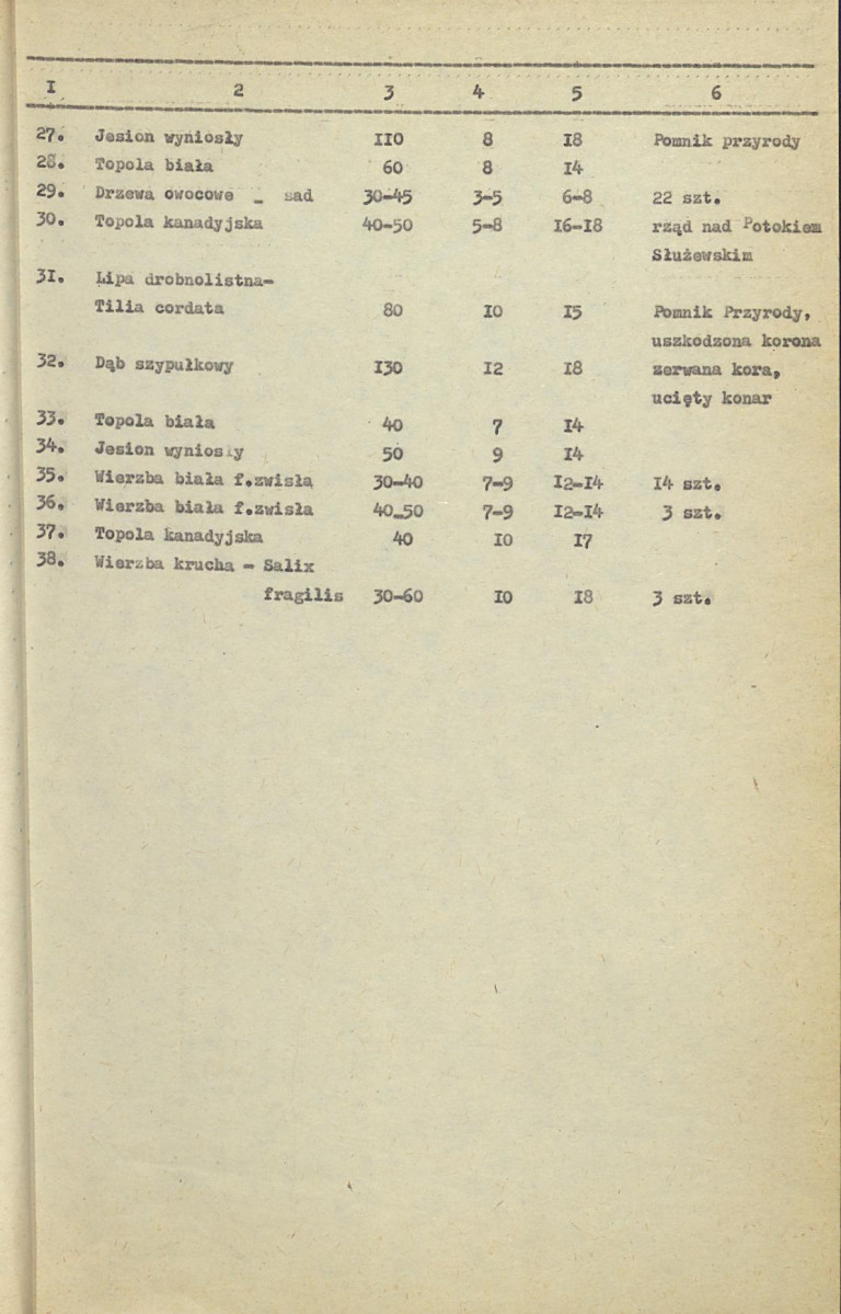 Ewidencja parkowa, skan nr 26