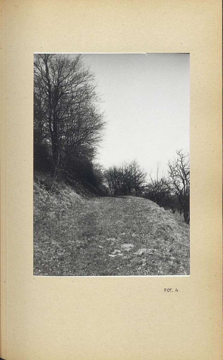 Ewidencja parkowa, skan nr 46