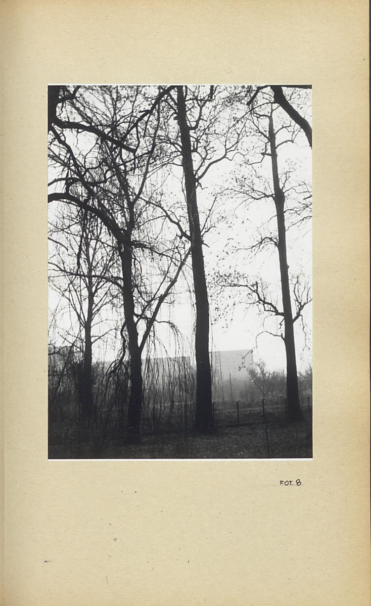 Ewidencja parkowa, skan nr 50
