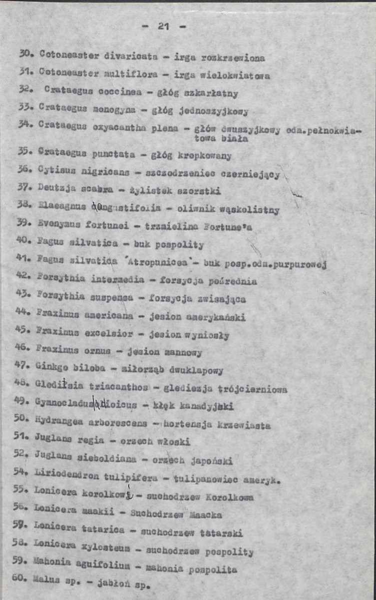 Ewidencja parkowa, skan nr 26
