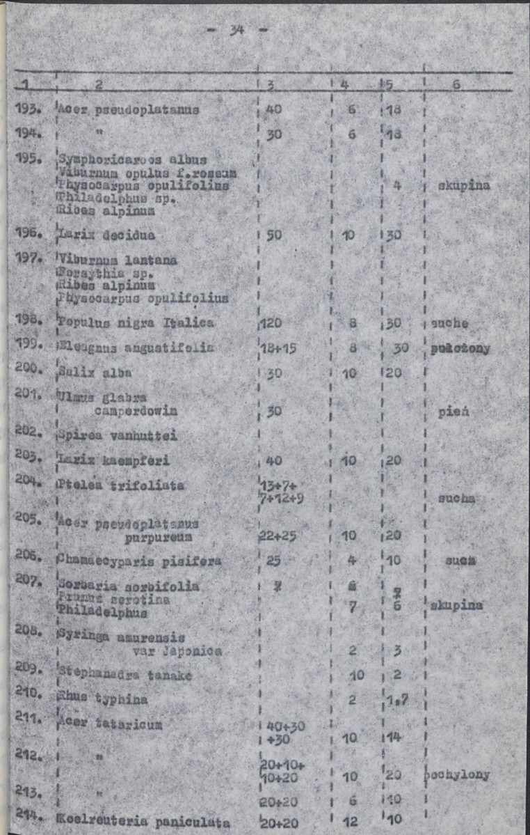 Ewidencja parkowa, skan nr 39