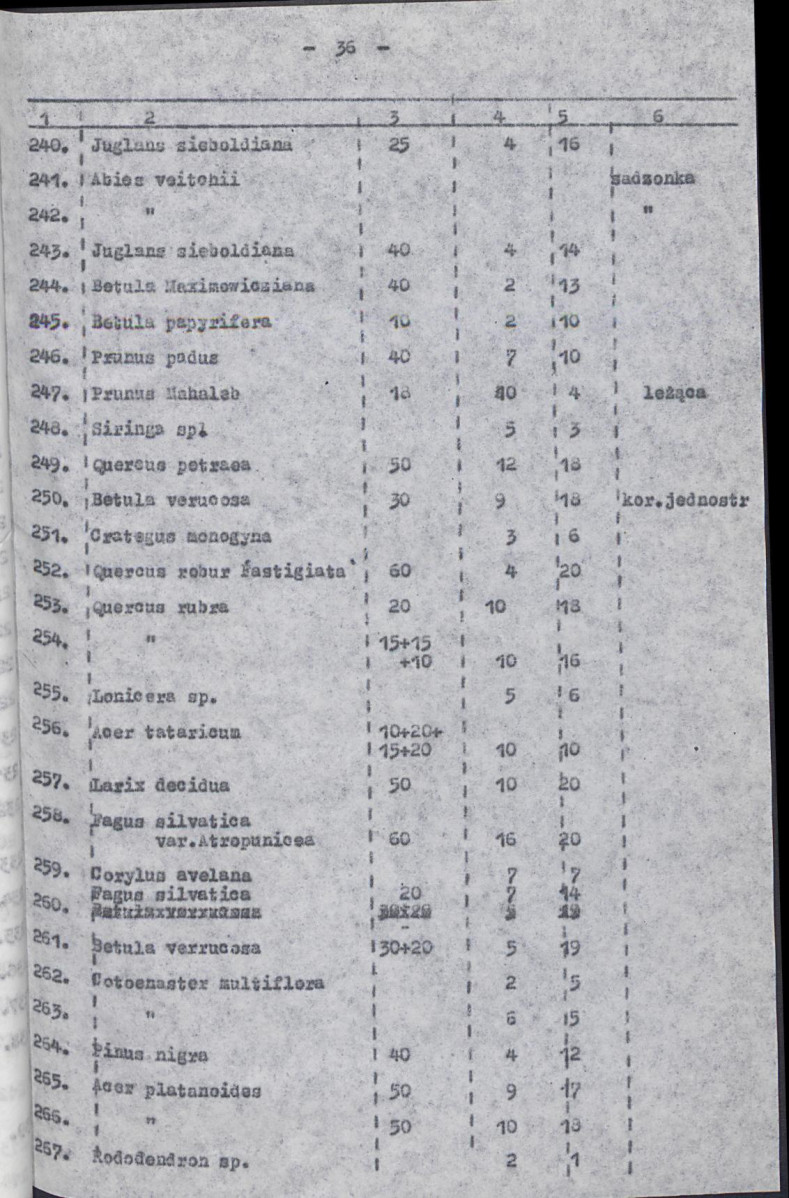 Ewidencja parkowa, skan nr 41