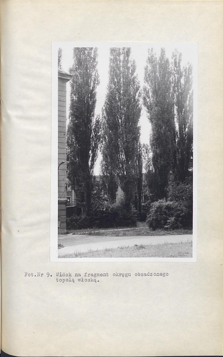 Ewidencja parkowa, skan nr 50