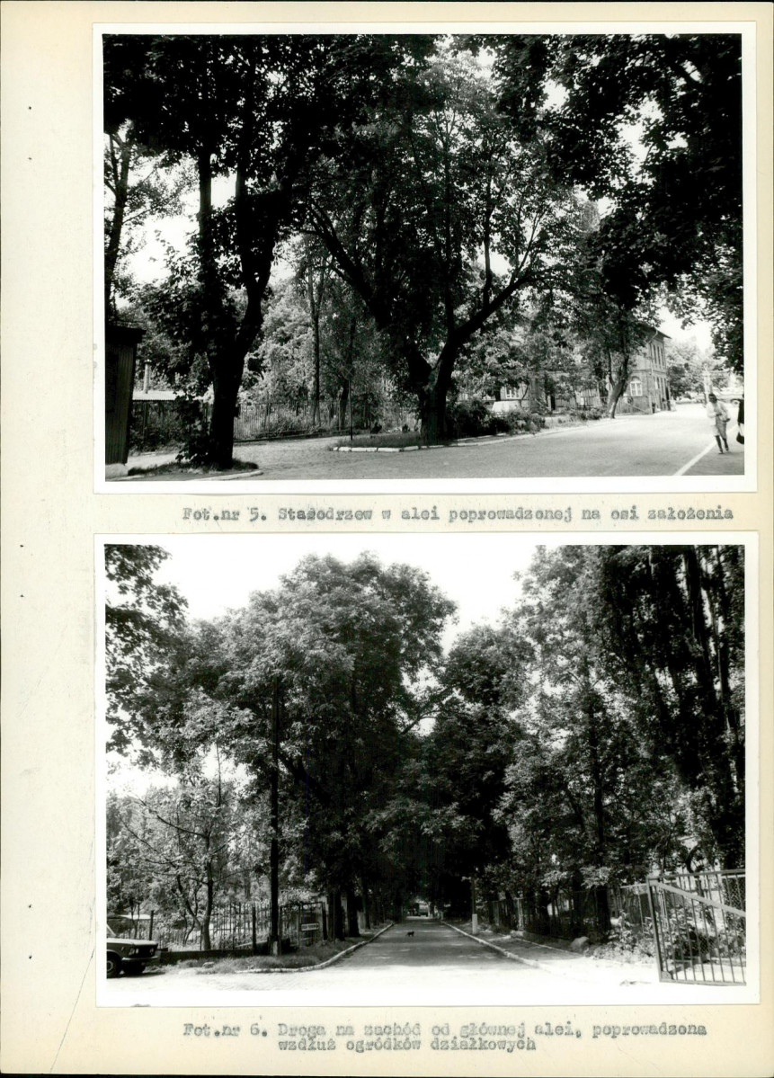 Ewidencja parkowa, skan nr 43