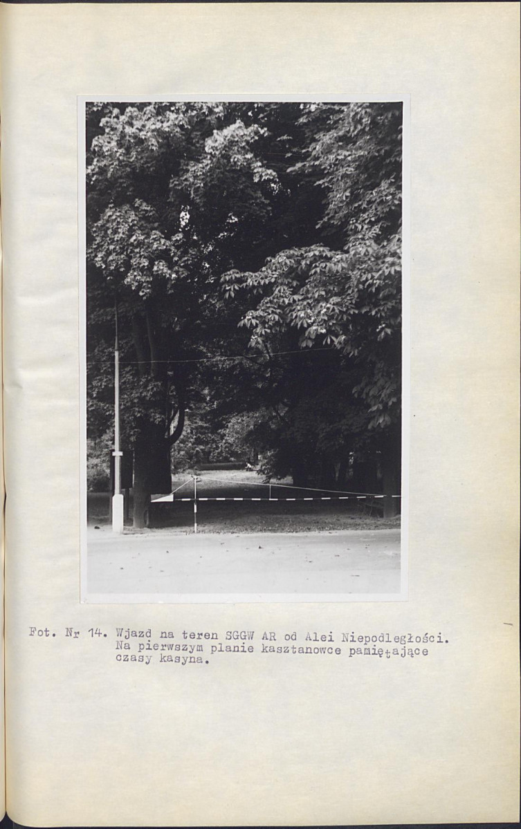 Ewidencja parkowa, skan nr 53