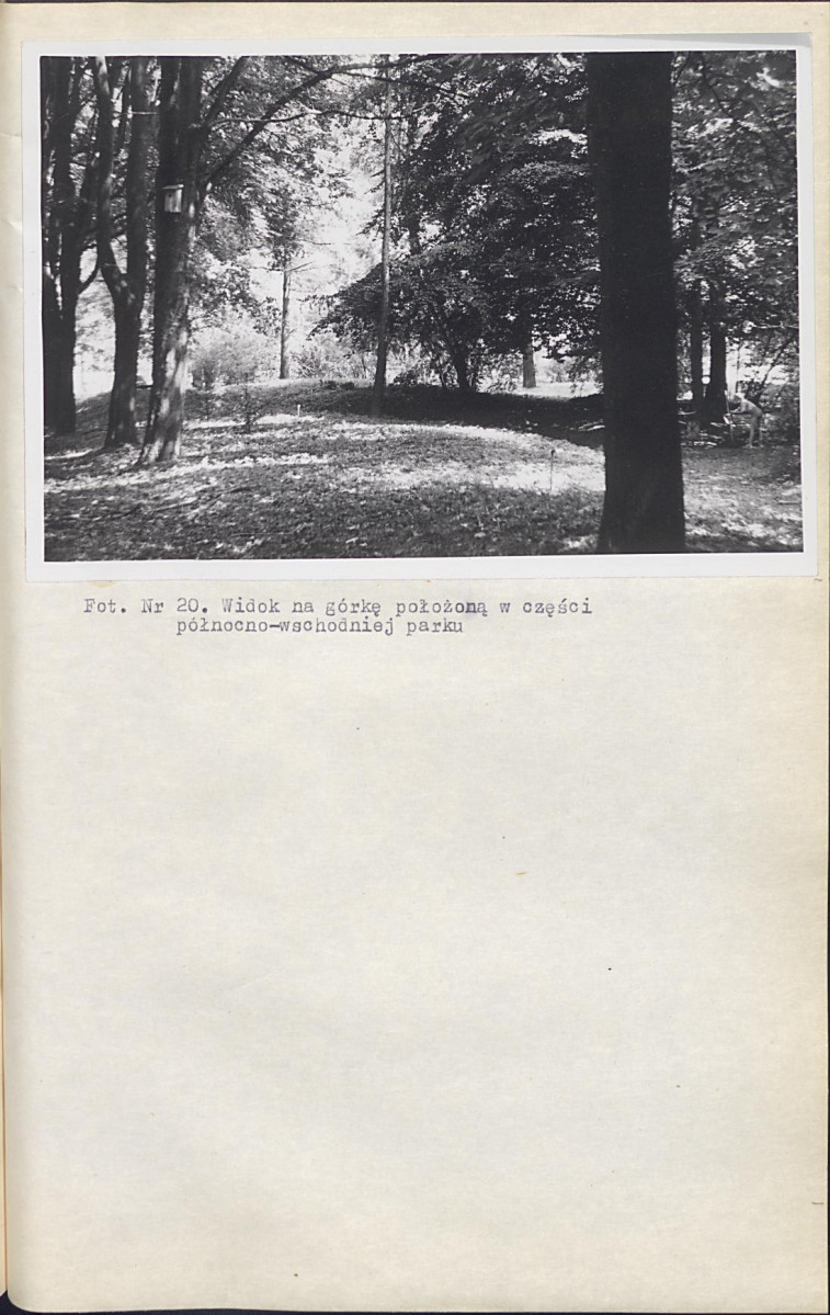 Ewidencja parkowa, skan nr 57