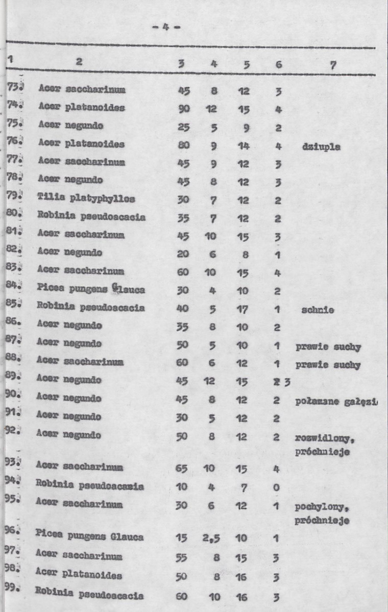 Ewidencja parkowa, skan nr 18