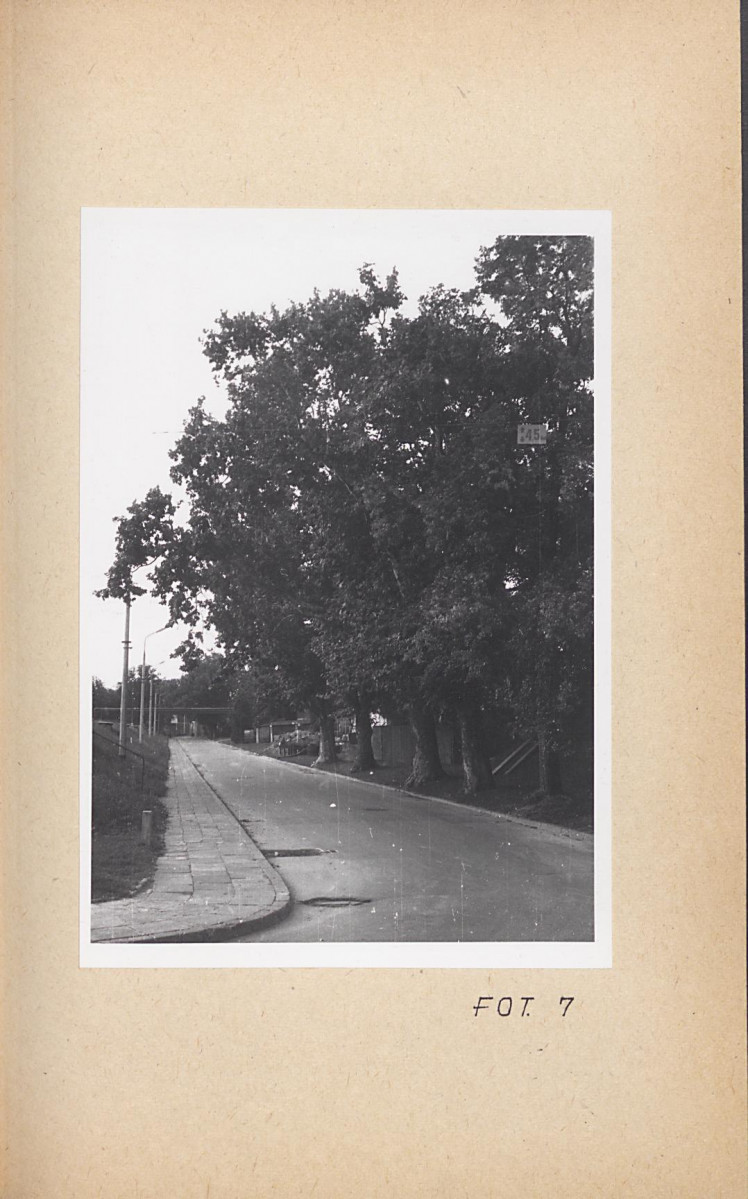 Ewidencja parkowa, skan nr 41