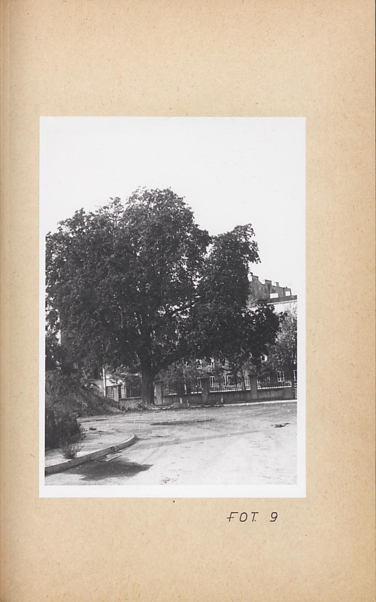 Ewidencja parkowa, skan nr 43