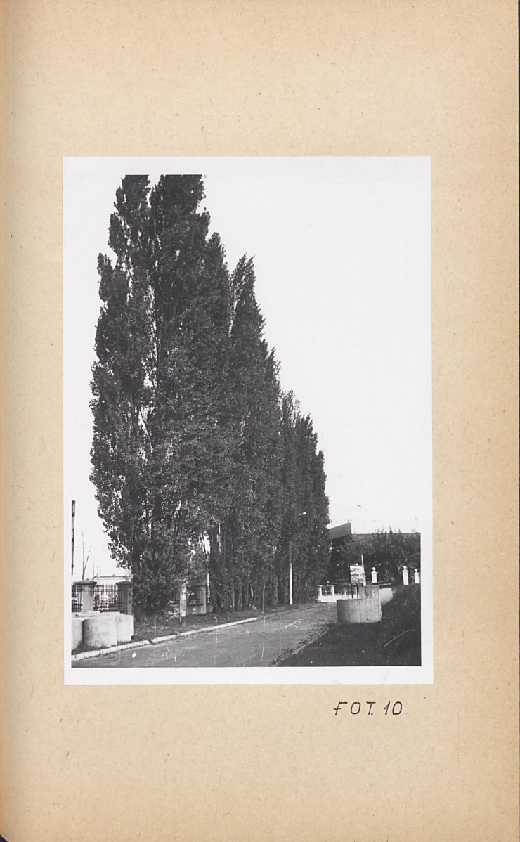 Ewidencja parkowa, skan nr 44