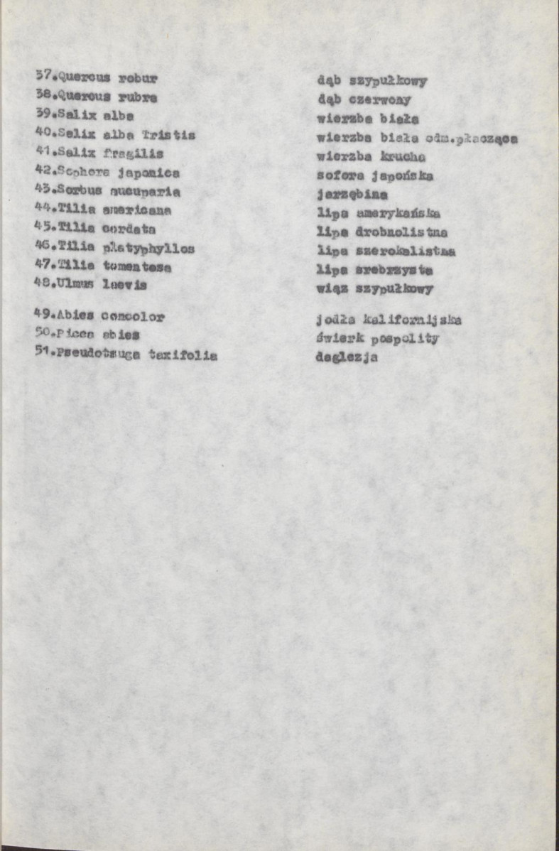 Ewidencja parkowa, skan nr 21