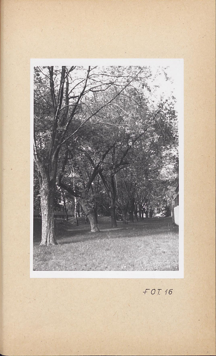 Ewidencja parkowa, skan nr 49