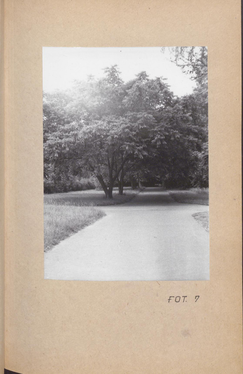 Ewidencja parkowa, skan nr 61