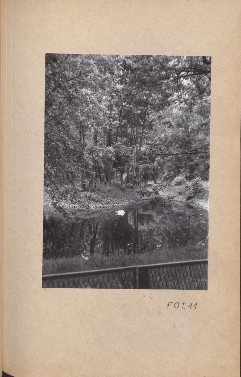 Ewidencja parkowa, skan nr 65