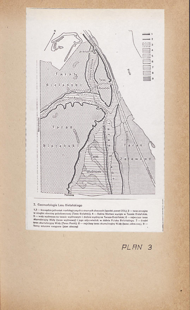 Ewidencja parkowa, skan nr 42