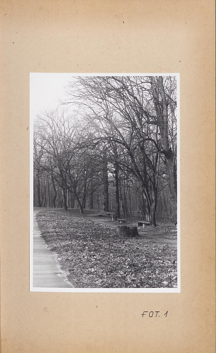 Ewidencja parkowa, skan nr 43