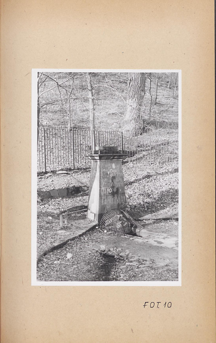 Ewidencja parkowa, skan nr 50