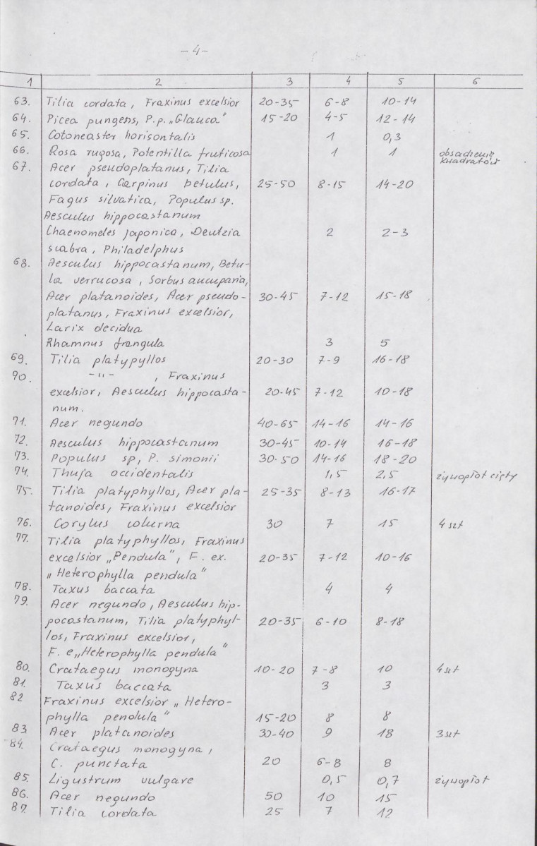 Ewidencja parkowa, skan nr 26