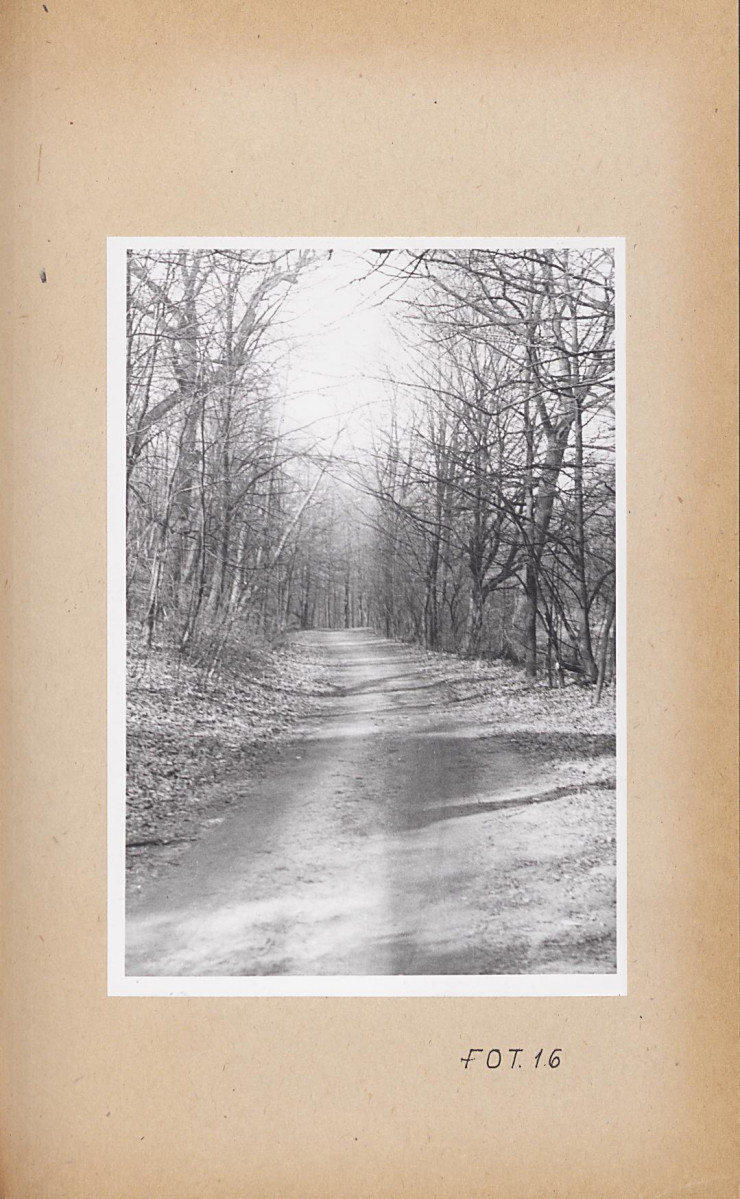 Ewidencja parkowa, skan nr 54