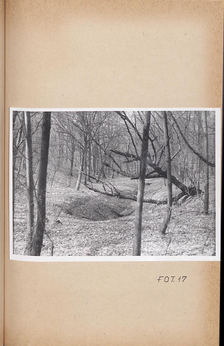 Ewidencja parkowa, skan nr 55