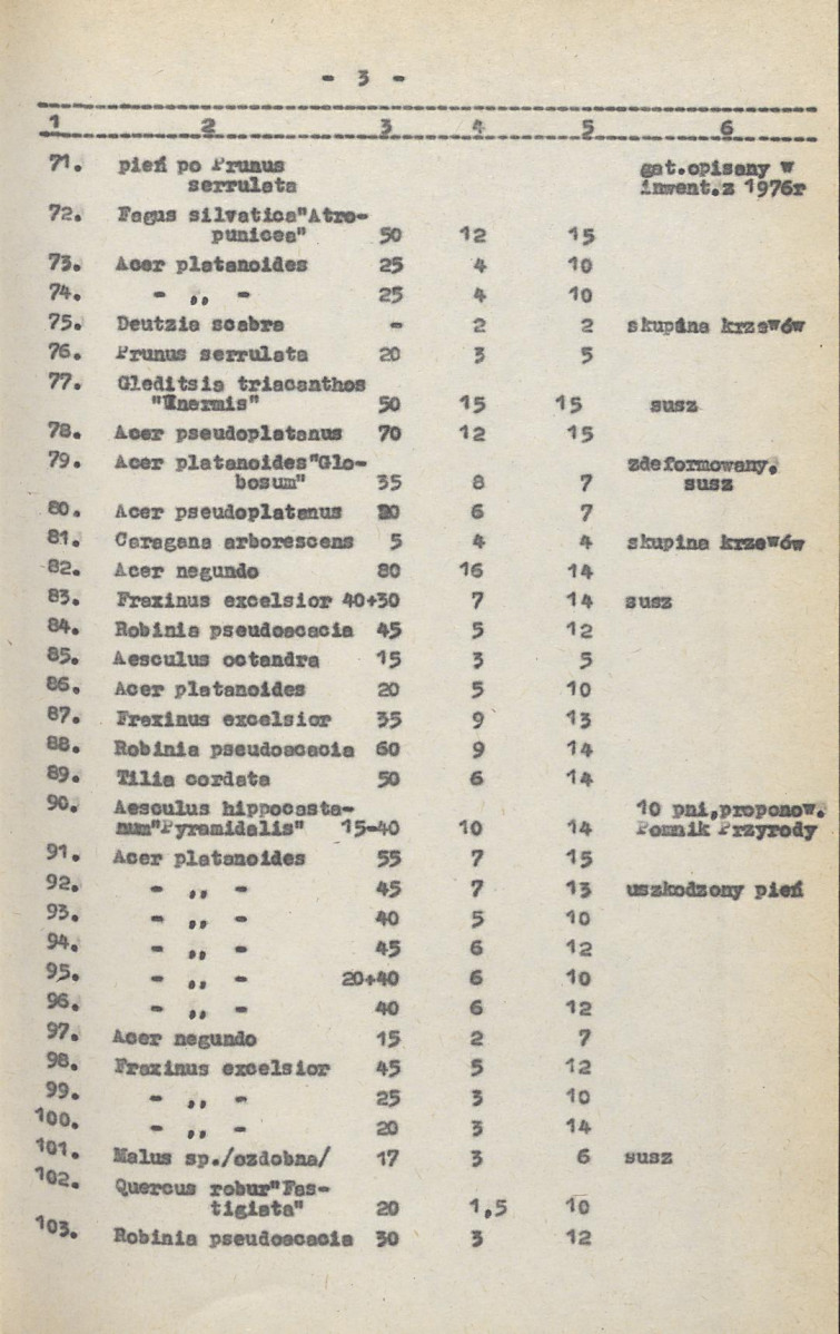 Ewidencja parkowa, skan nr 30