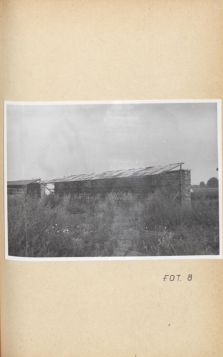 Ewidencja parkowa, skan nr 50