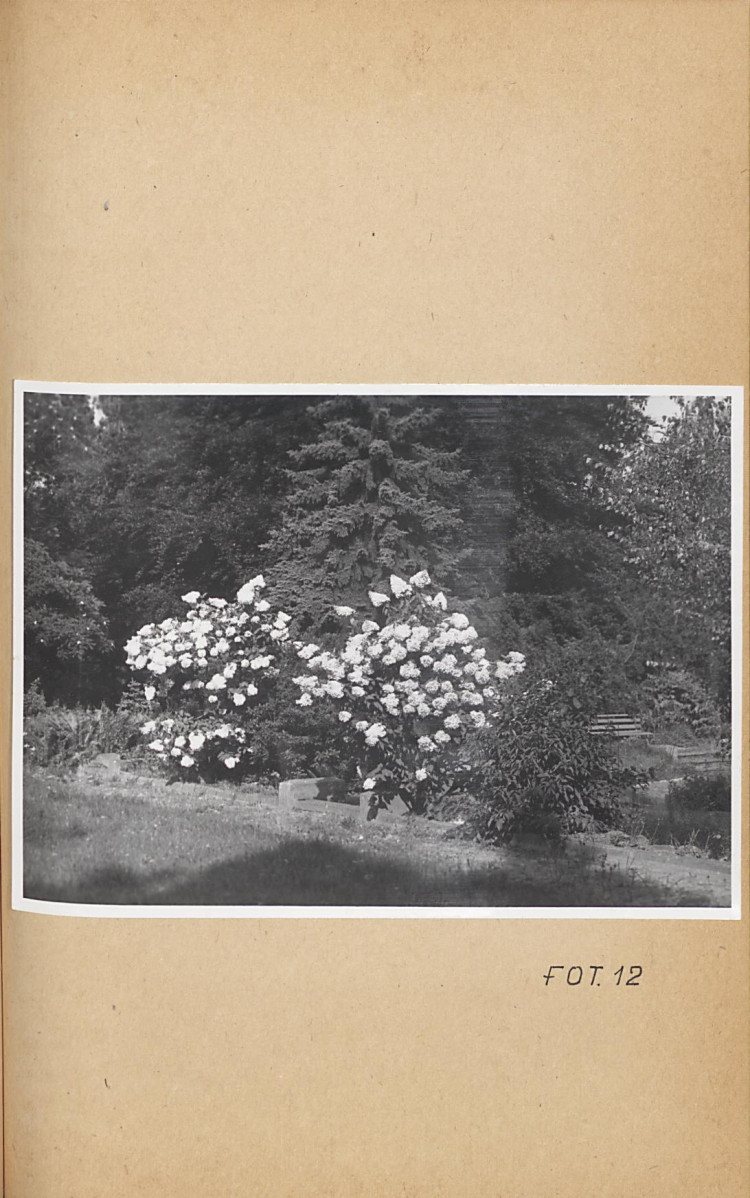 Ewidencja parkowa, skan nr 54