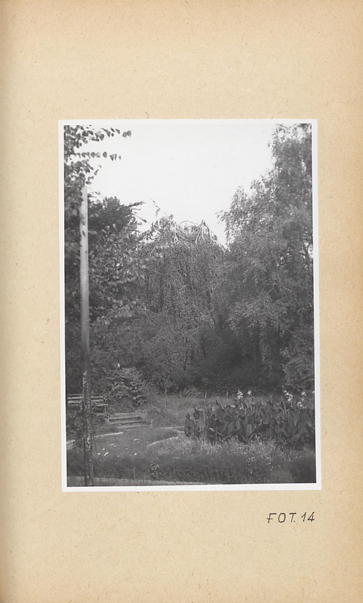 Ewidencja parkowa, skan nr 56