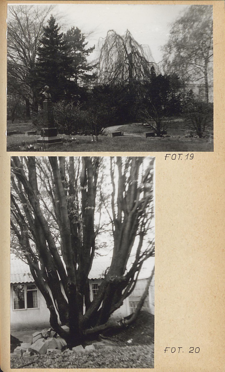 Ewidencja parkowa, skan nr 60