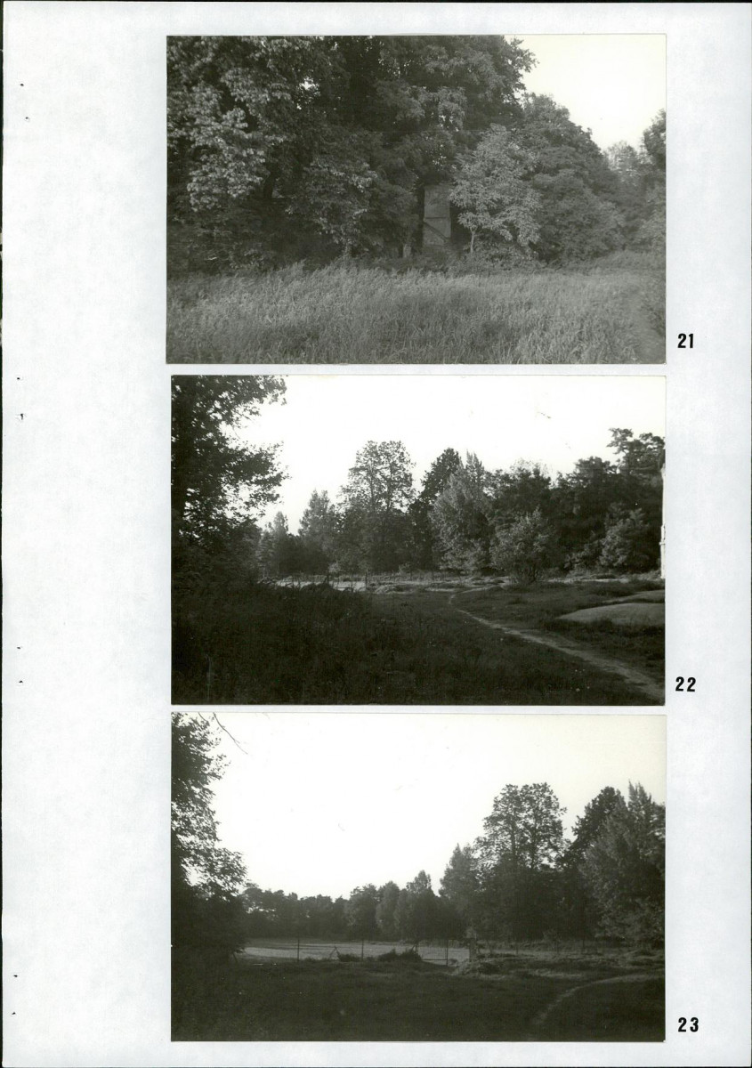 Ewidencja parkowa, skan nr 33