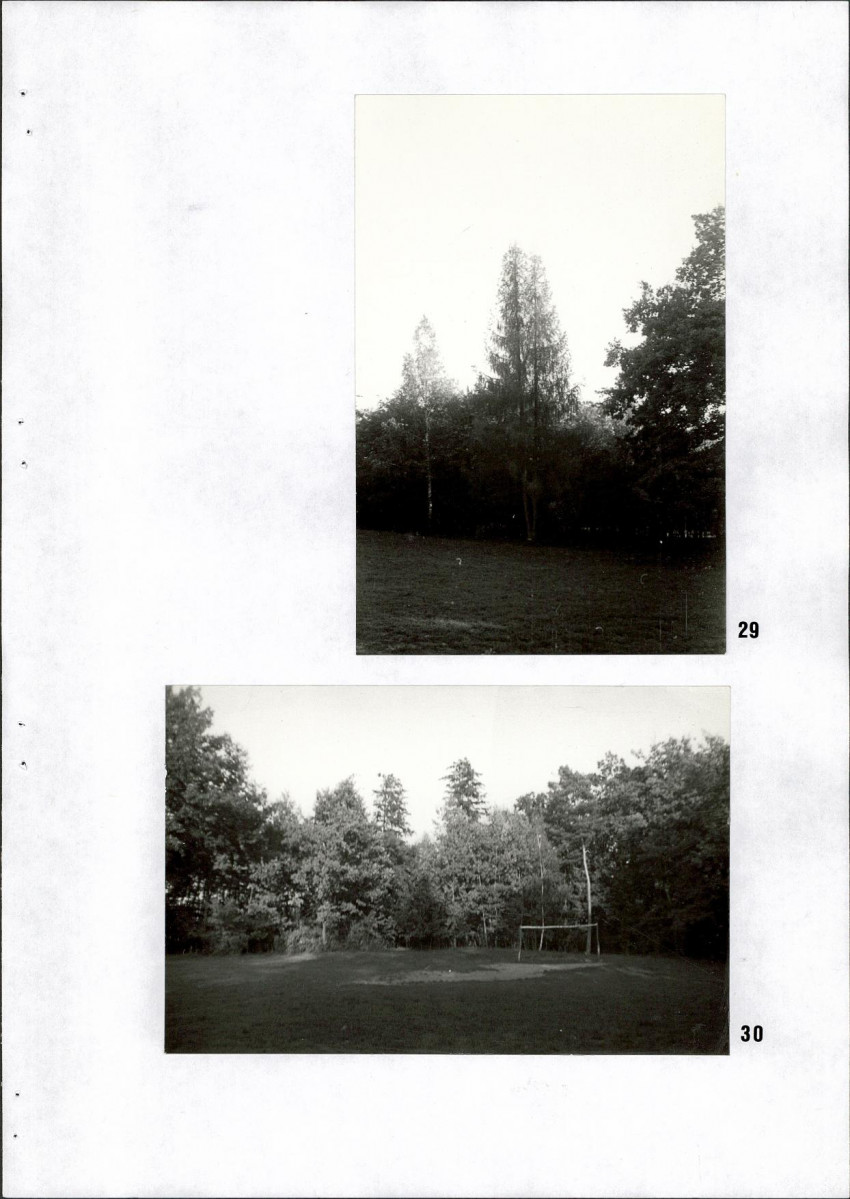 Ewidencja parkowa, skan nr 36