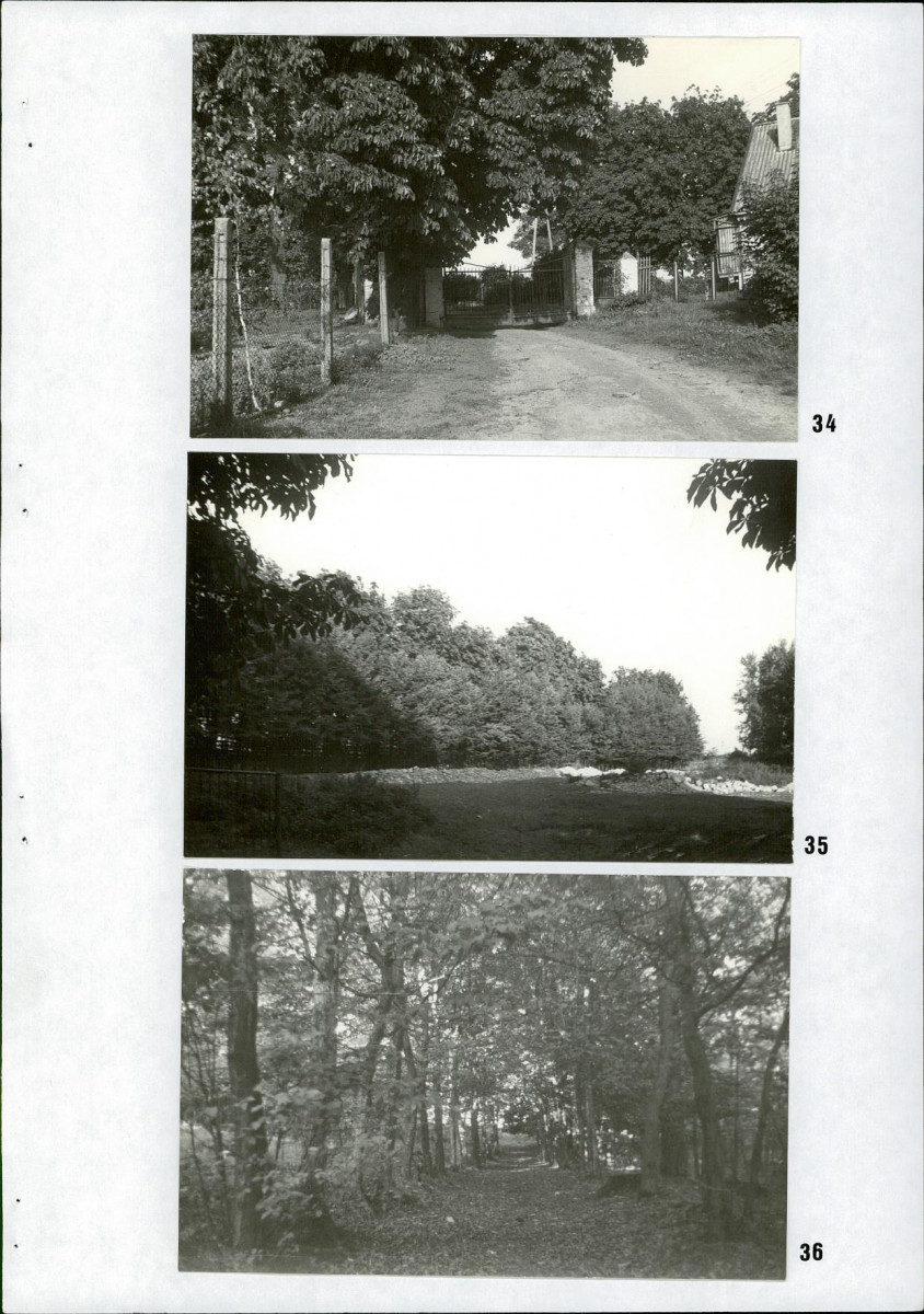 Ewidencja parkowa, skan nr 38