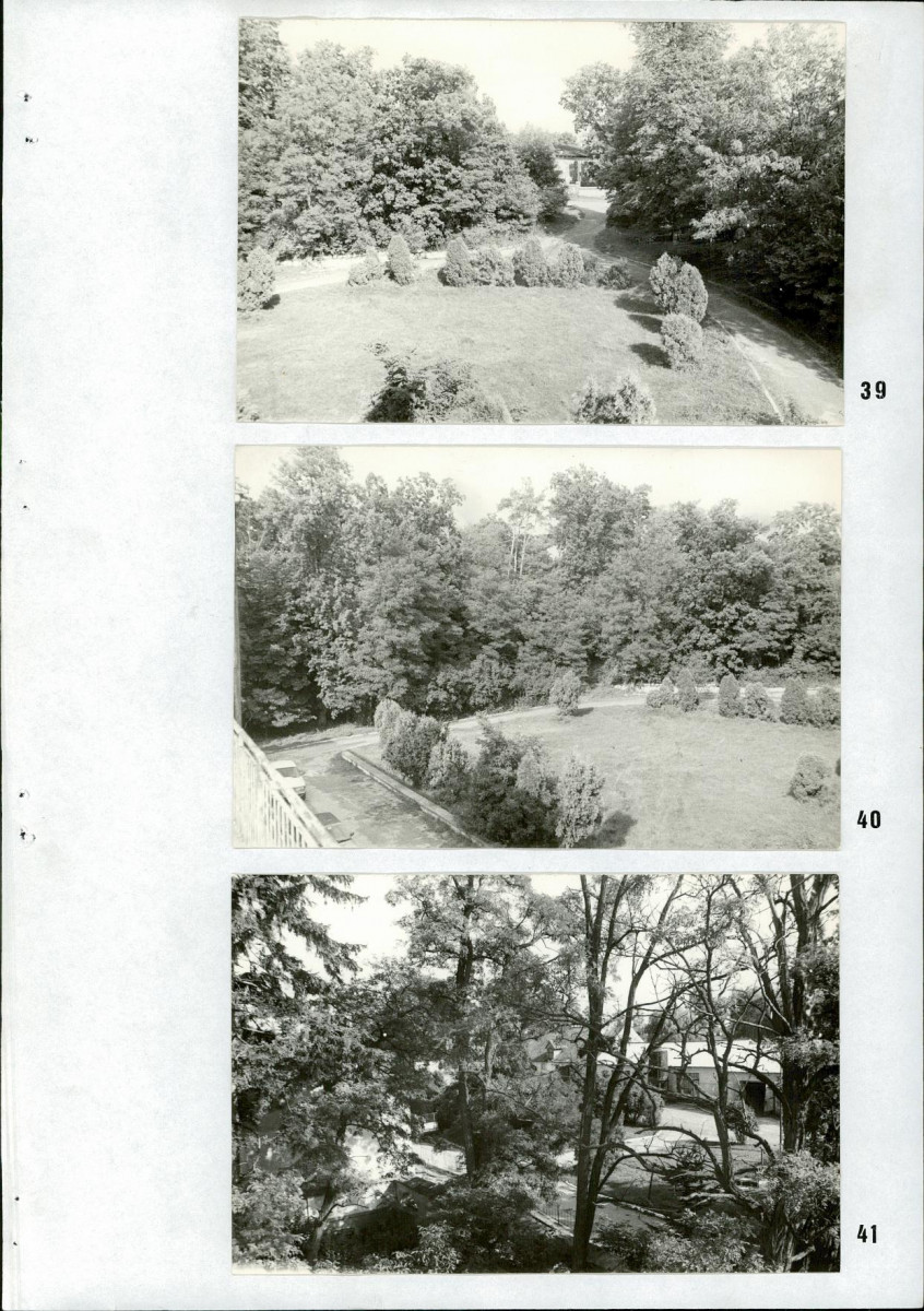 Ewidencja parkowa, skan nr 40