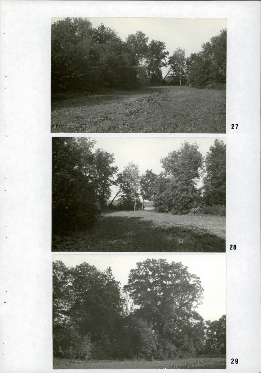 Ewidencja parkowa, skan nr 33