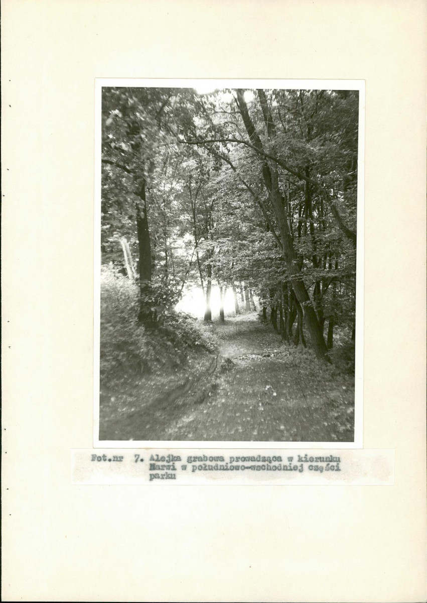 EP - Ewidencja parkowa, skan nr 33