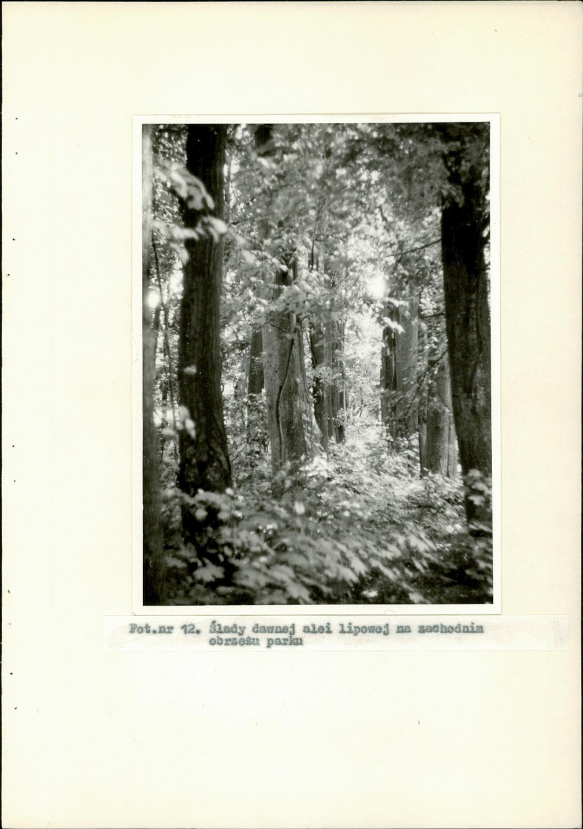 EP - Ewidencja parkowa, skan nr 36