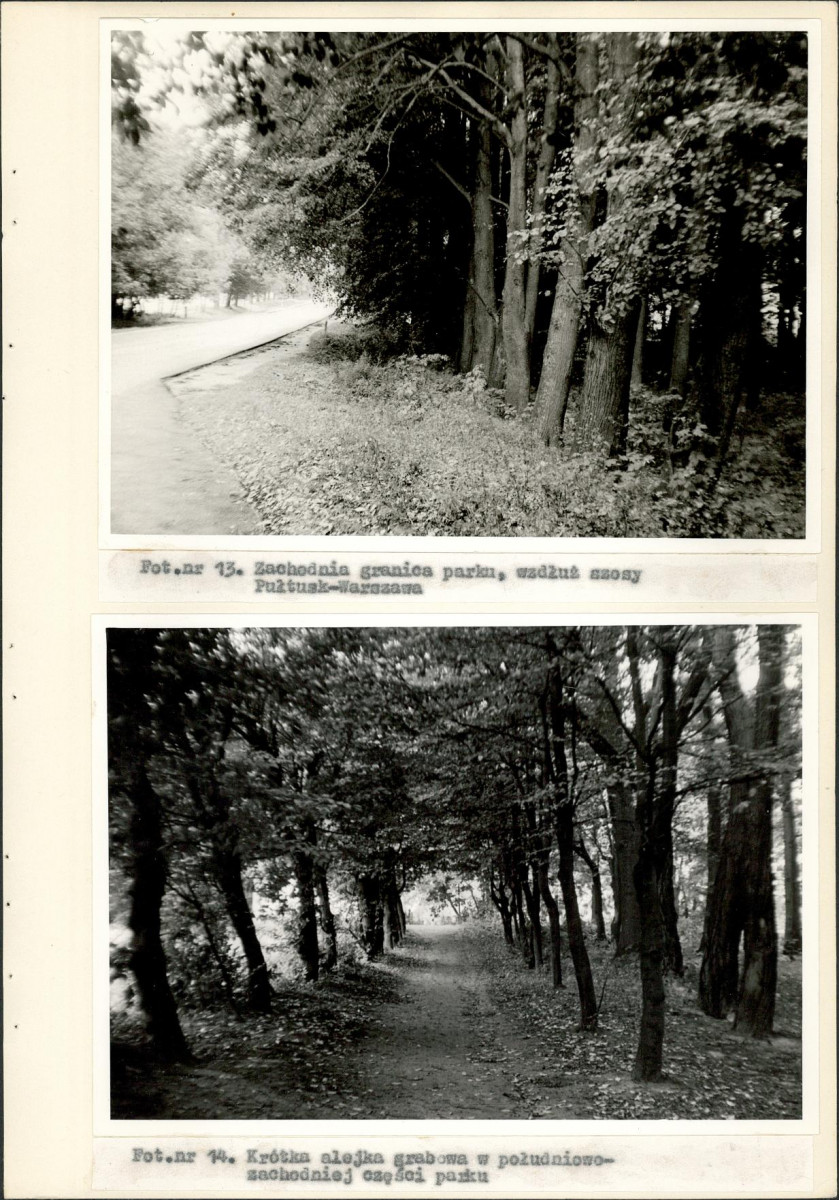 EP - Ewidencja parkowa, skan nr 37