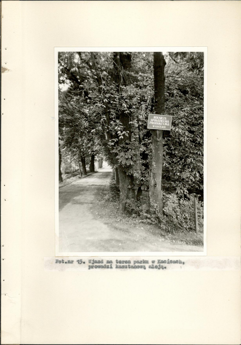 EP - Ewidencja parkowa, skan nr 38