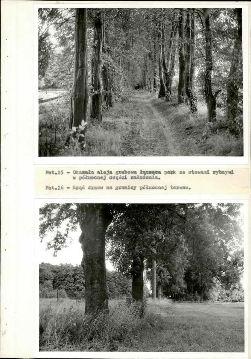 Ewidencja parkowa, skan nr 35