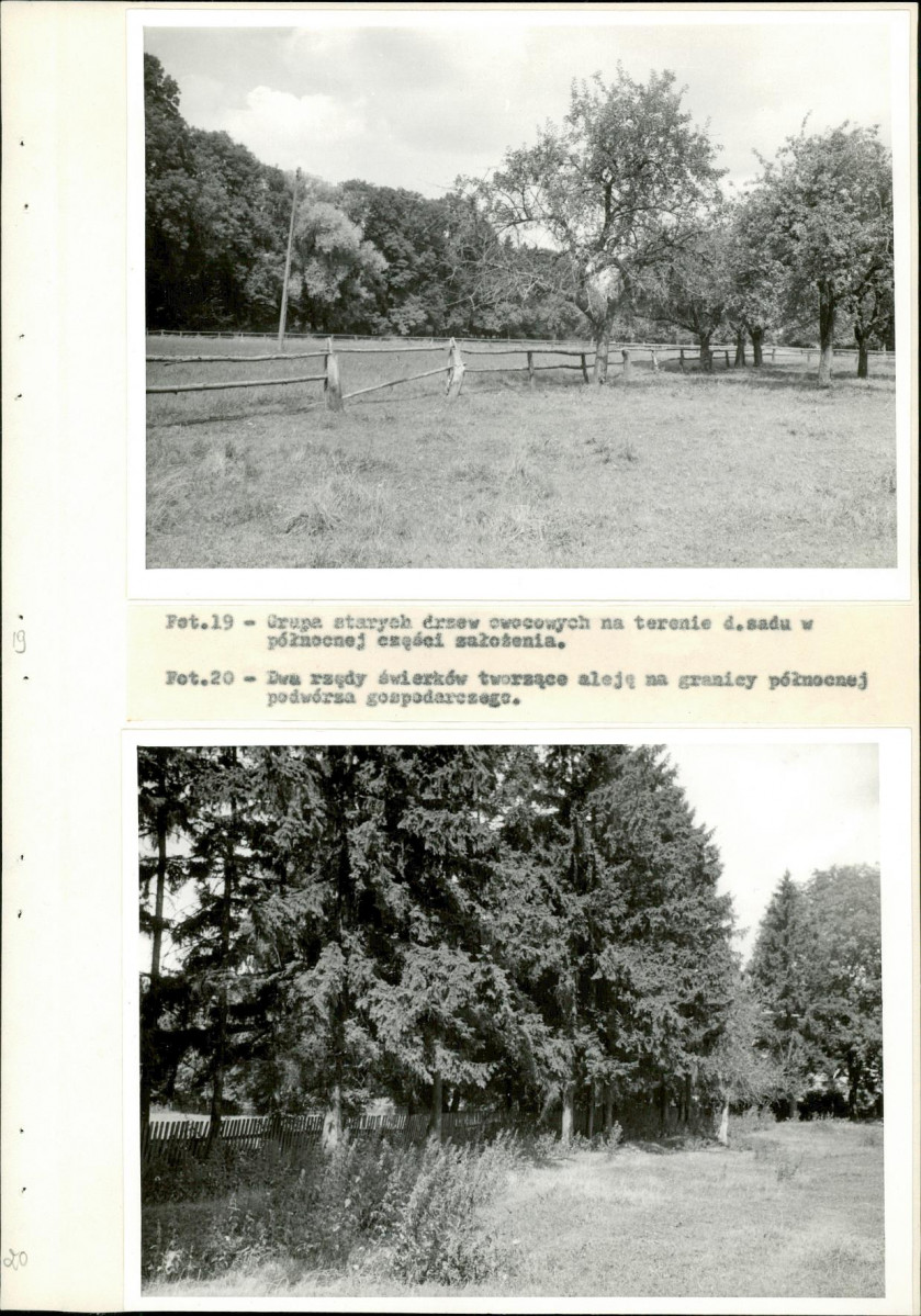 Ewidencja parkowa, skan nr 37