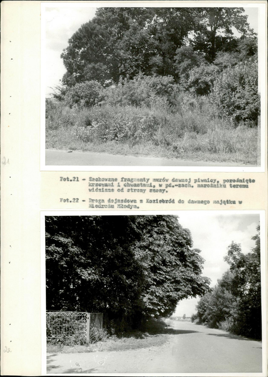 Ewidencja parkowa, skan nr 38