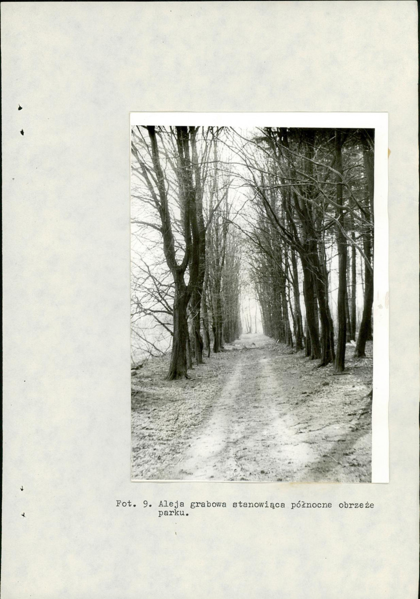 Ewidencja parkowa, skan nr 30