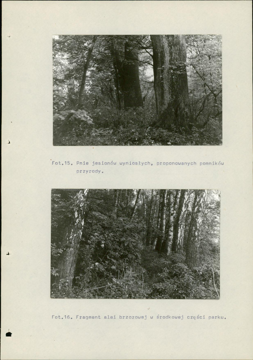 Ewidencja parkowa, skan nr 77