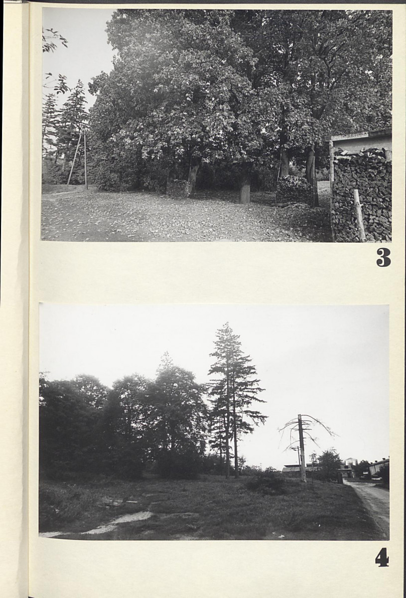 Ewidencja parkowa, skan nr 18