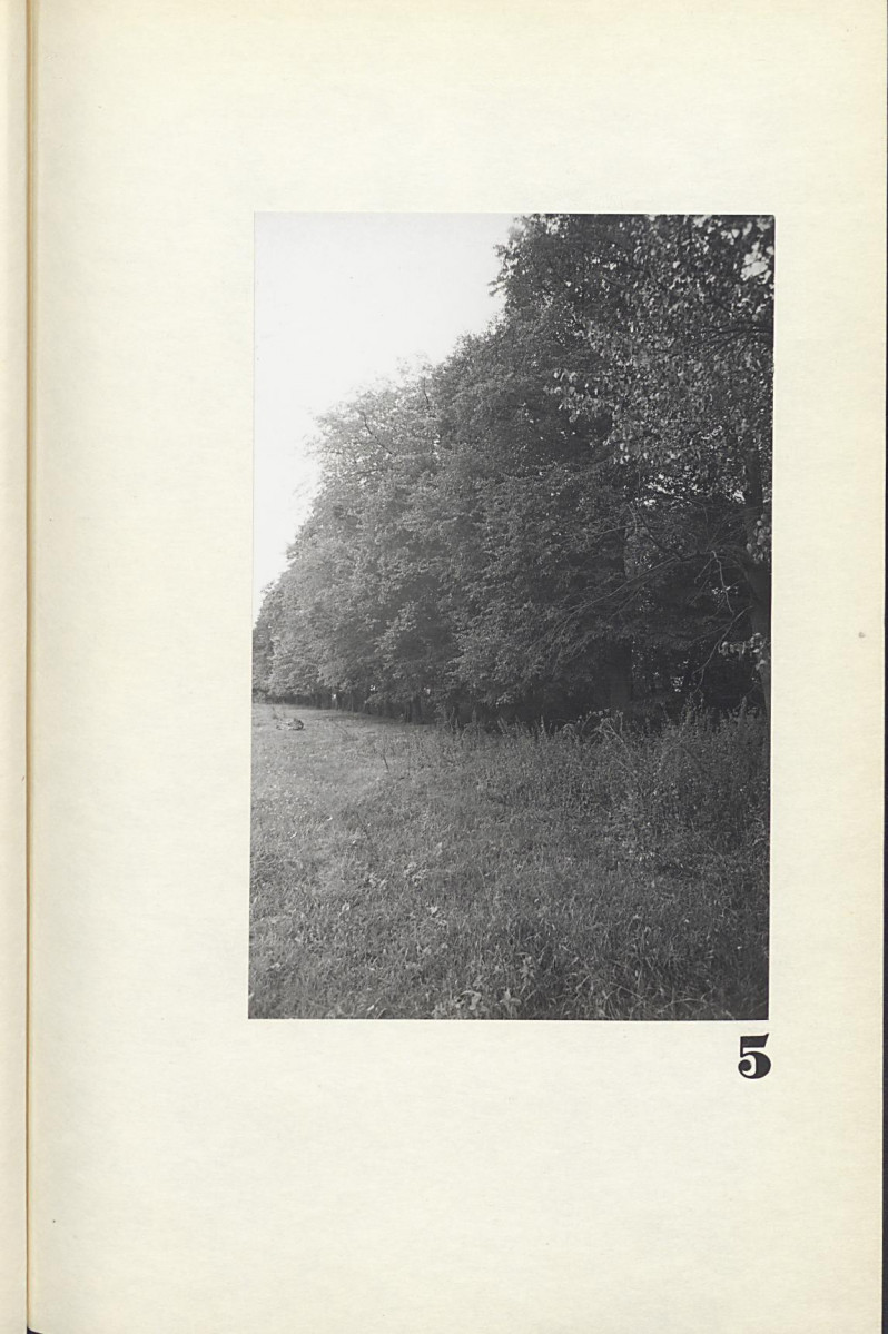 Ewidencja parkowa, skan nr 19